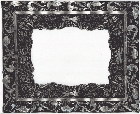 armadillo frame hope