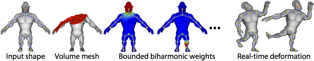 optimizing bounded biharmonic weights computation eth masters project