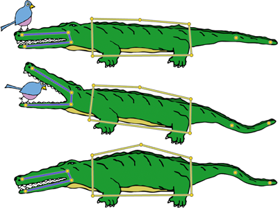 The Alligator is deformed using a skeleton on the jaws, a cage on the belly and points on the tail.