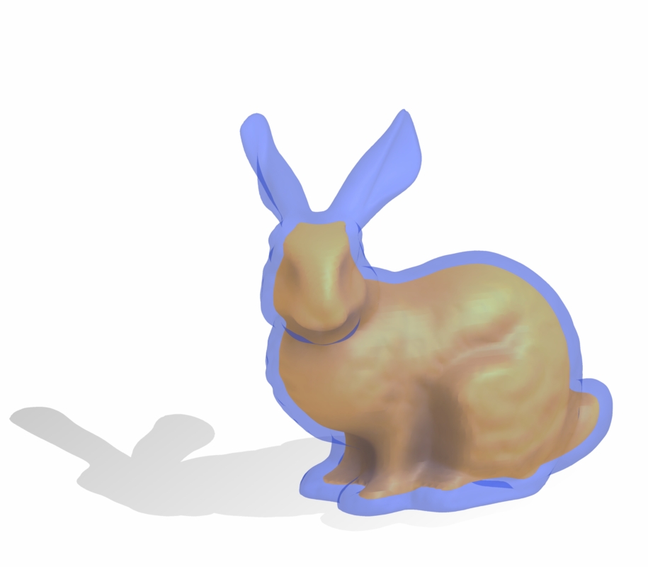 bunny with positive offset surface